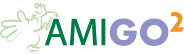 AMIGO2: Advanced model identification using global optimization logo