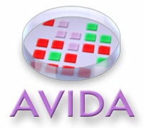 Avida: a digital evolution software platform for studying evolution logo