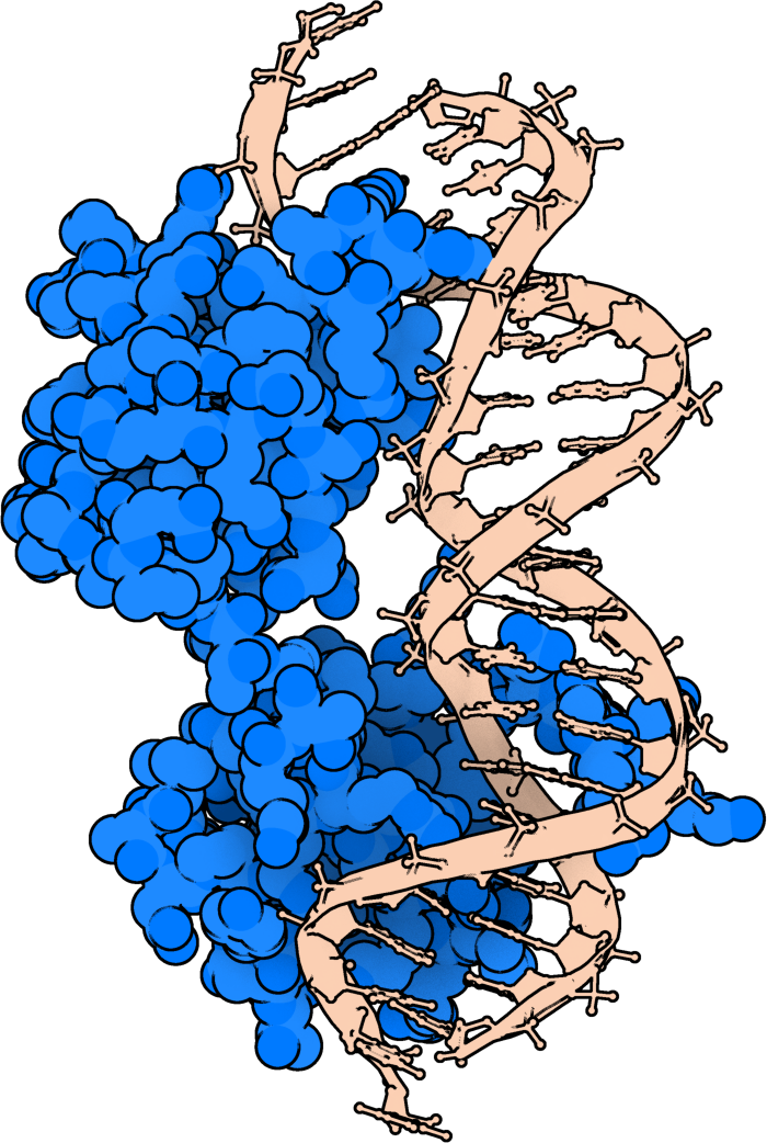 pyDockDNA logo